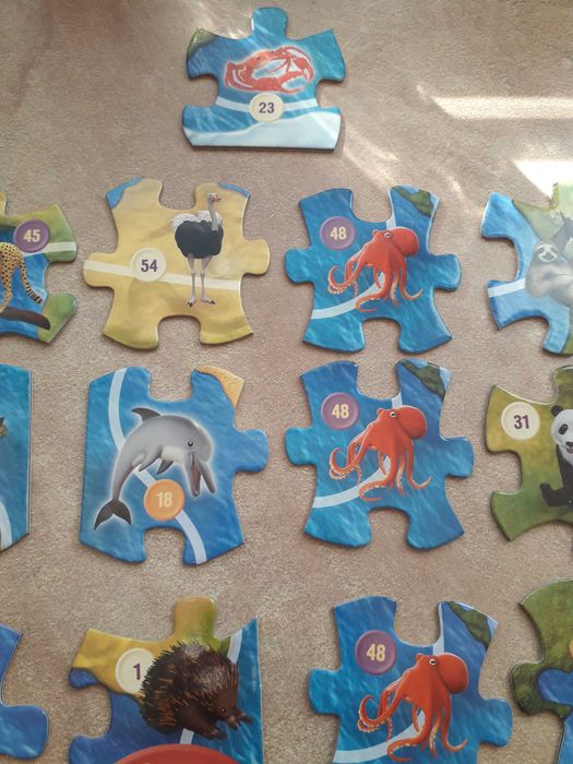 Настолни игри разнообразие