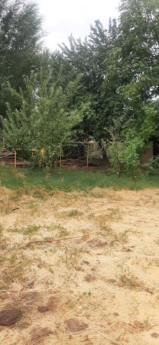 Тошкент вилояти, Чирчик – Янги Бозор, угловой
Йўл ҳар икки томондан /