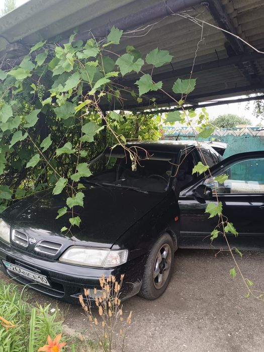 Продам дачу Со Дархан рассмотрим рассрочку