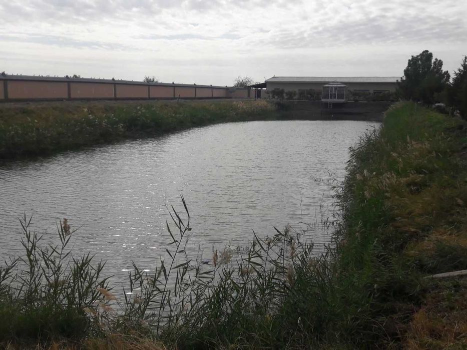 "Ishchi xodimlar dam olish binosi"