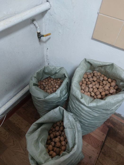 Продам грецкие орехи
