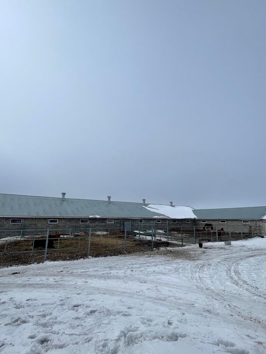 Продам дом и участок