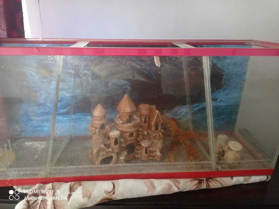 Аквариум                            .