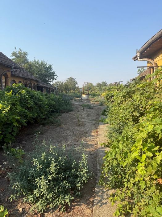 Teren intravilan 2.400 mp în Băilești – 24 m deschidere la strada