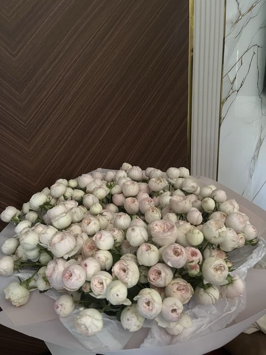 Огромный букет Пионы