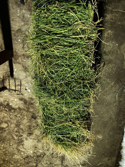 Жоңышқа  3 кост .