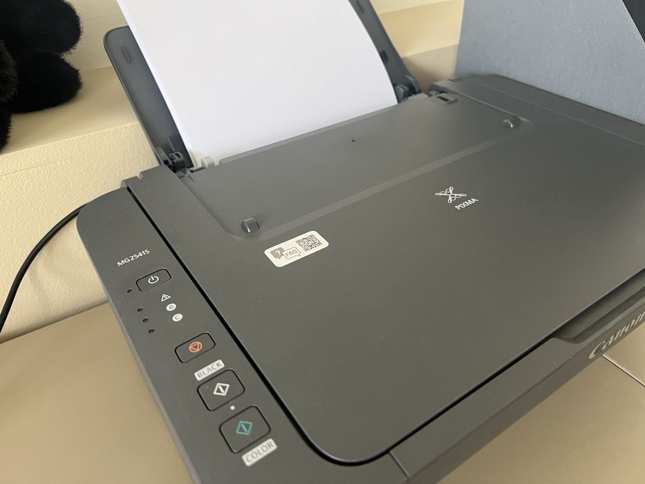 Принтер Canon pixma mg2541s