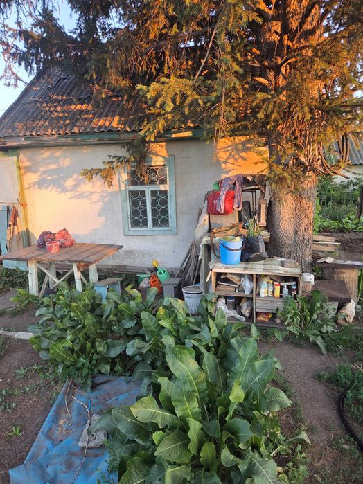продам дачу в СТ Титан (п.Новая Согра)