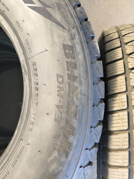 Шины зимние Bridgestone DM-V3