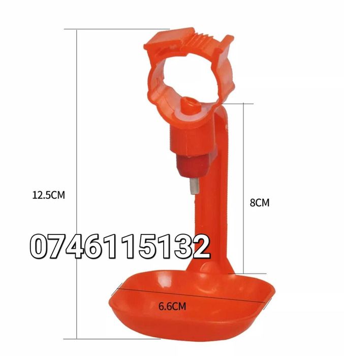 Gaini fazani curci fazani pasari rate paun-ADAPATORI PUI Cu Tavita-A15