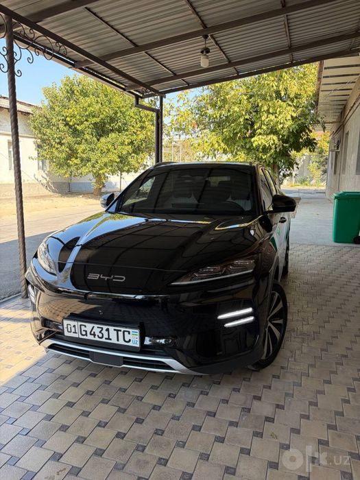 Byd champion full 605km