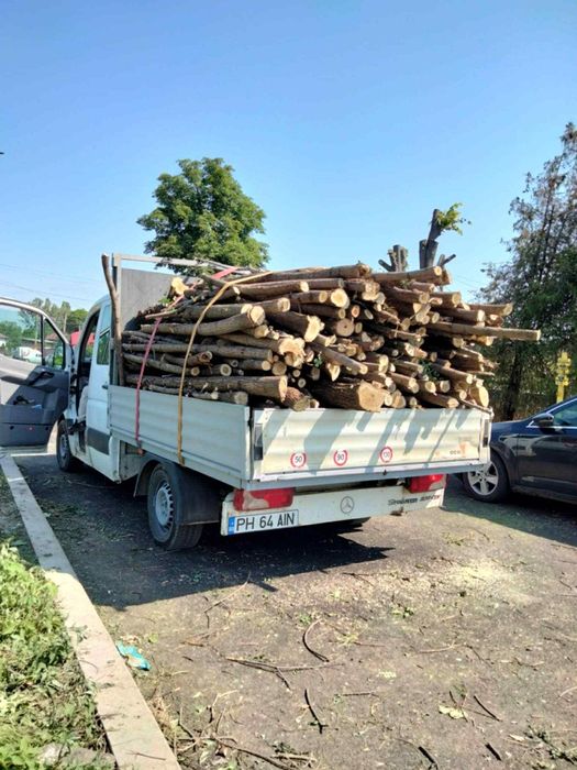 Transport Marfă Mobilă Moloz