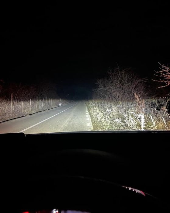 Nou!! Set 2 becuri Led D1s canbus  alb rece pur 6000k