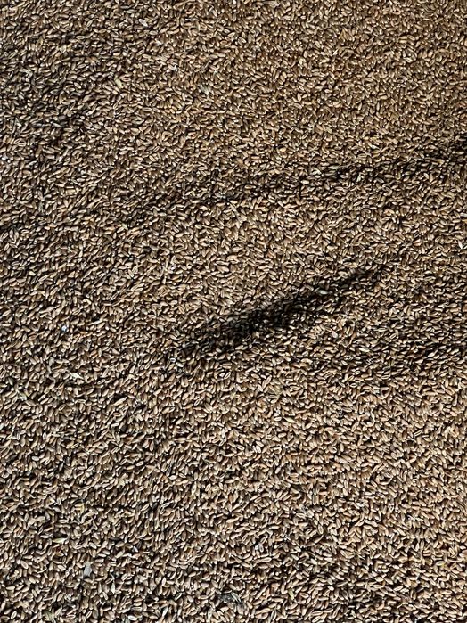 Grau glosa 250 - 300 Tone