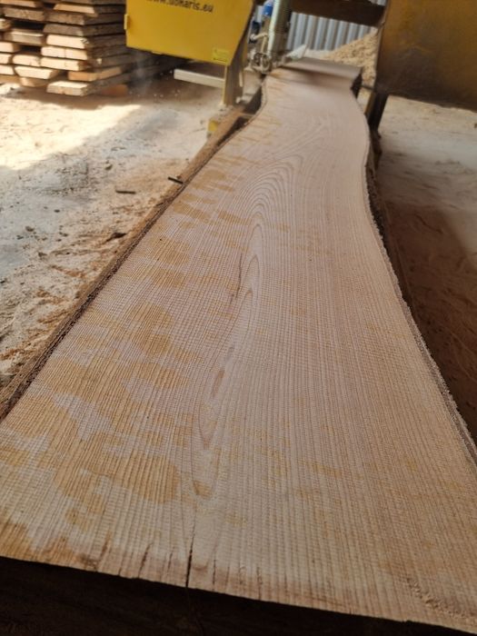 Cherestea uscata frasin.