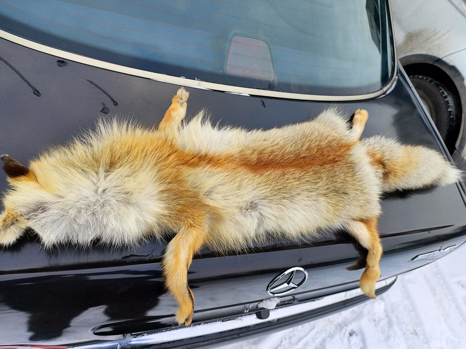 Воротник лисица шапка меховой