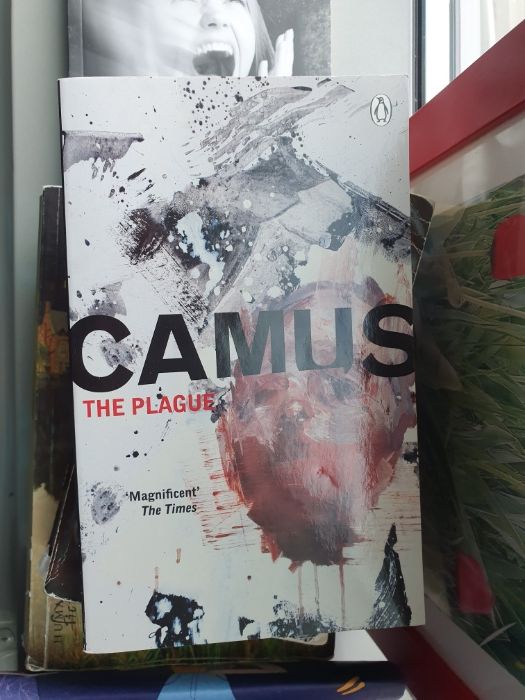 Stephen King, Albert Camus - pt Bucuresti