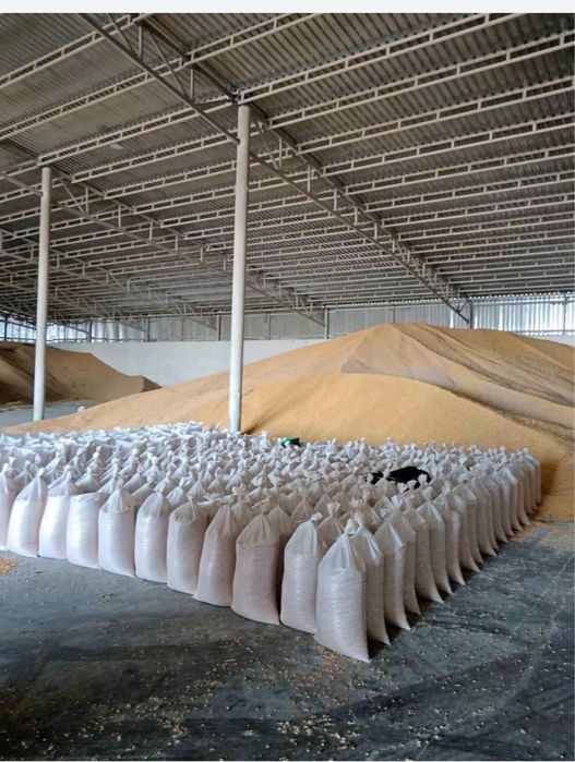 porumb uscat productie noua cu transport la domiciliu in toata țara