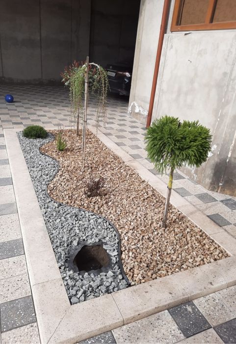 Озеленение участков