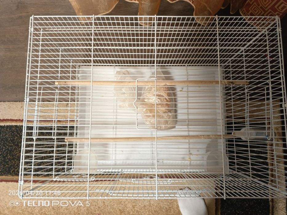 Yeah agility shop cooper storage