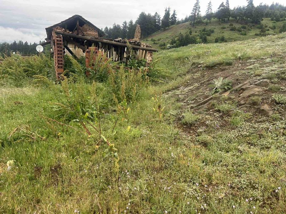 Продава се Парцел в с. Баня, Област Благоевград - 500 кв.м за 31 €/кв.м - Снимка #3