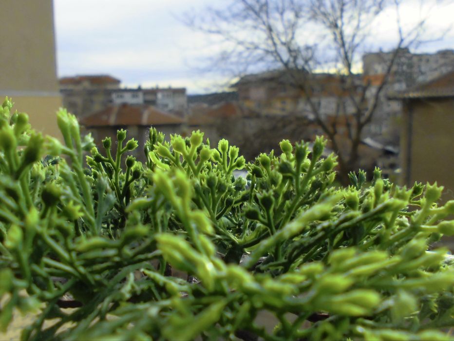 Casio Exilim EX-Z690