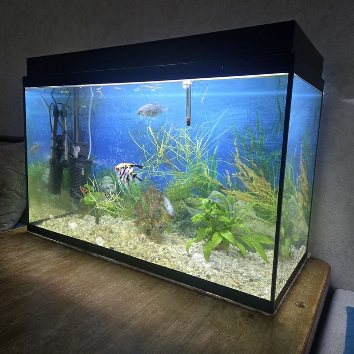 Аквариум с рыбками