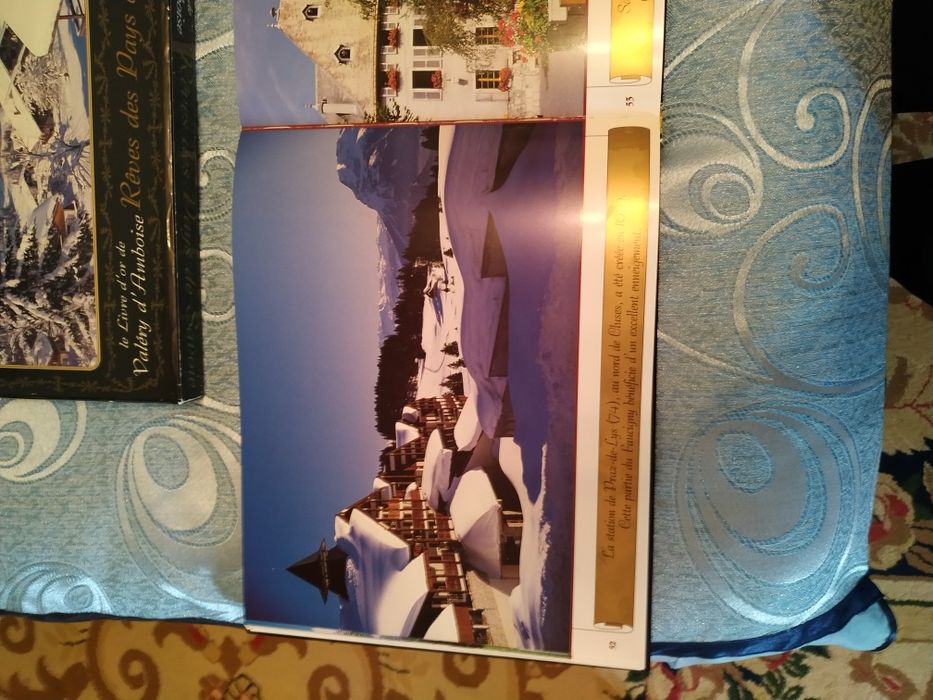 Книга о достопримечательностях Савойи ( на французском языке).