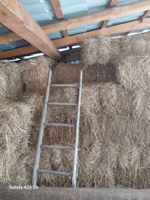 Vând paie baloți, și trifoi  baloți.