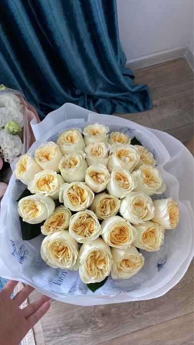 Свежие цветы новые