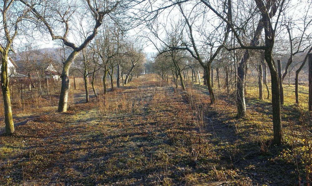Casă + teren 2935 mp de vânzare Băiculești, DN7C – poziție excelentă