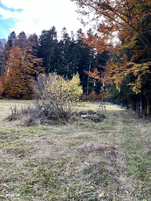 De vânzare teren Intravilan Bușteni