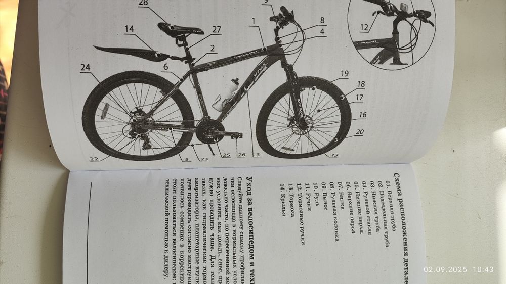 Велосипед VIVA.  AlPINA
