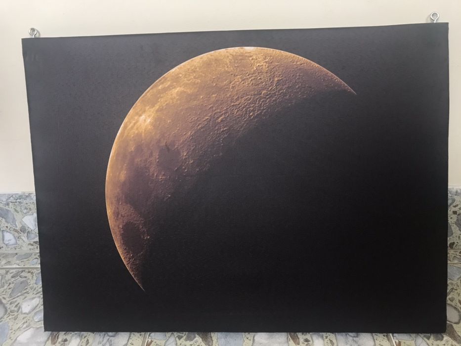 Tablouri canvas 40 cm x 55 cm; 3 buc.
