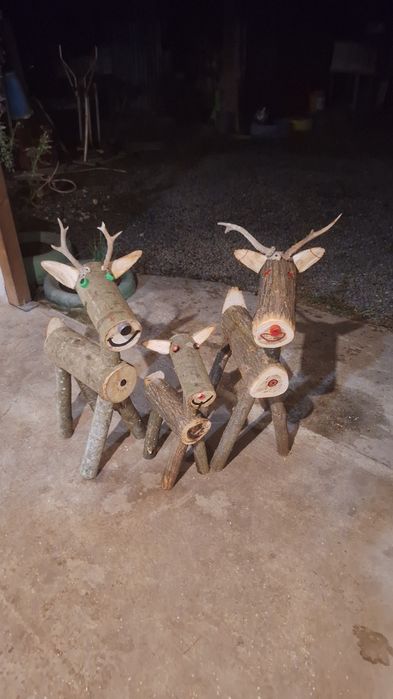 Casa si gradina superbe