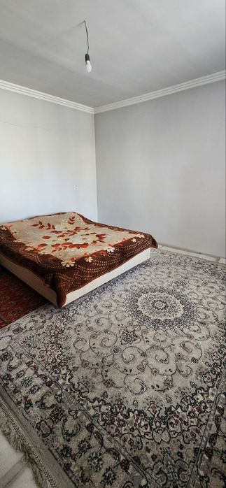 Nazarbek reptom 8 sotik