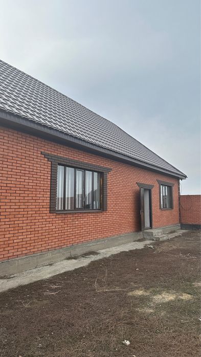 Обмен жылқы, сиыр, туйе