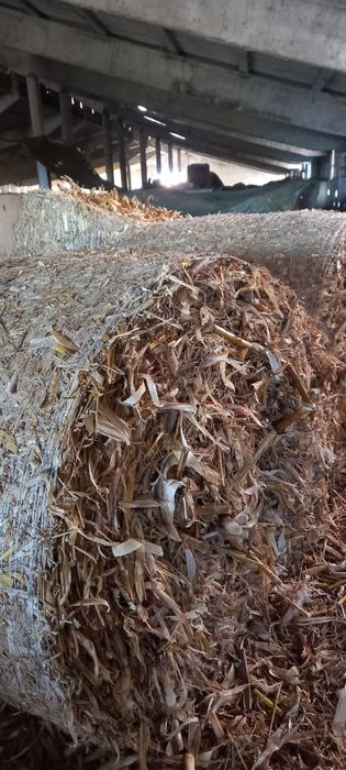 Vând baloti iarba, lucerna și coceni