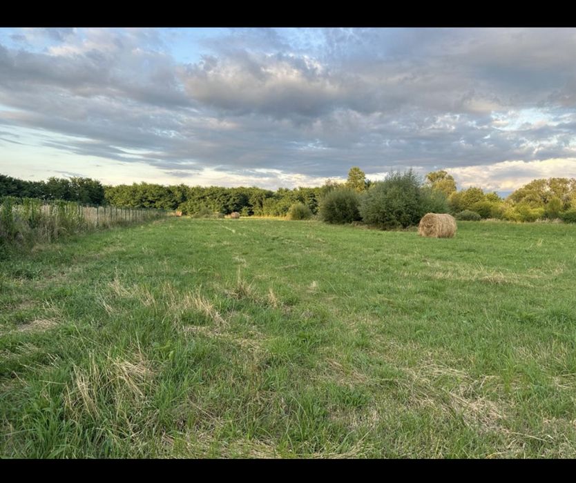 Teren intravilan de vanzare