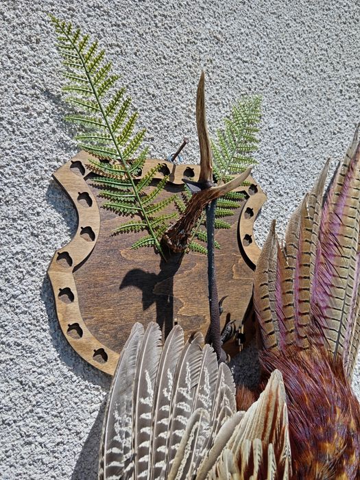 Препариран мъжки фазан