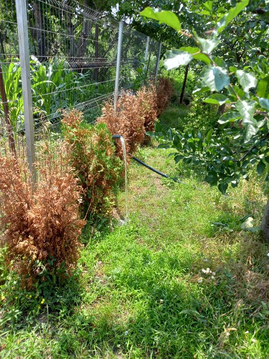 Foraje puțuri apa curățări denisipari prelungiri