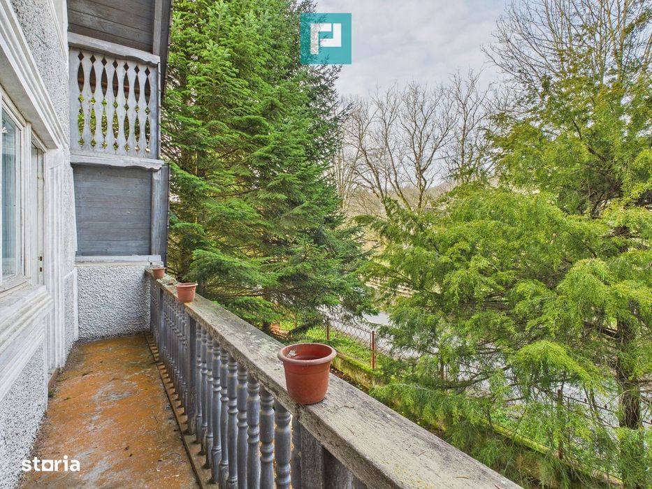 Casă P+E+M cu teren 8163 mp – Roşia Nouă (Petriş)