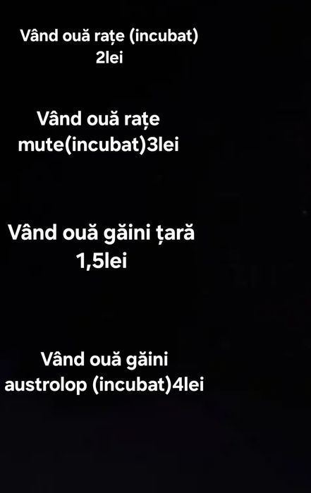 Vând ouă consum/incubat