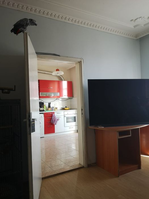 Продава се Четиристаен апартамент в Варна, Христо Ботев - 82 кв.м за 1940 €/кв.м - Снимка #3