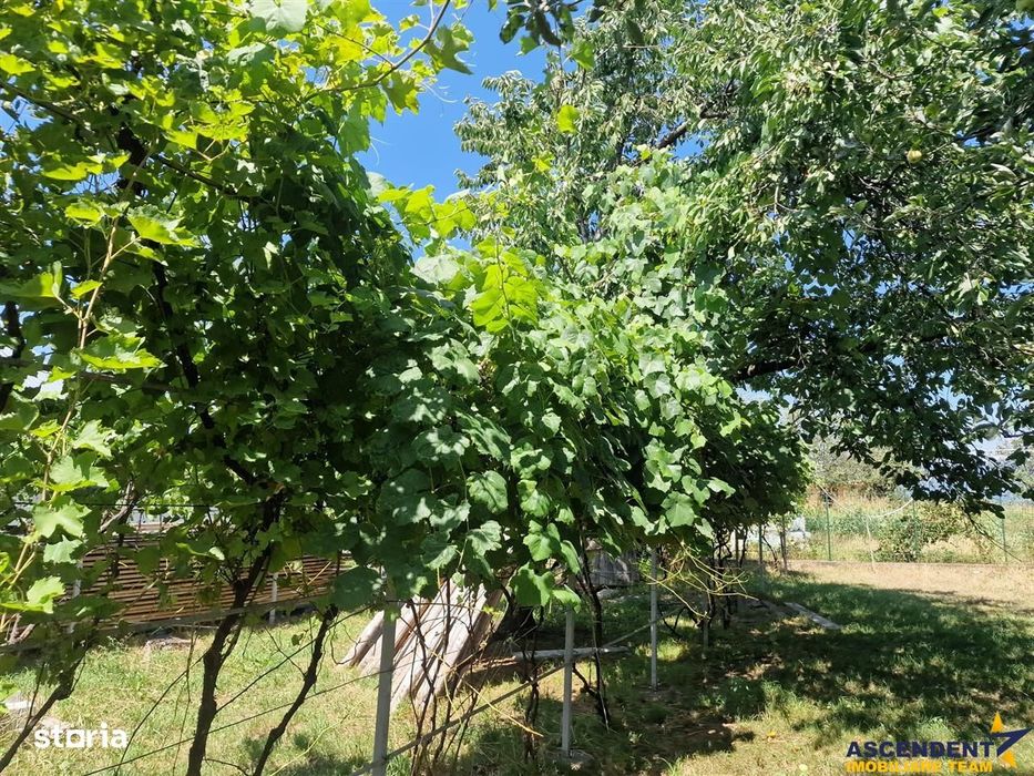 Casa traditionala, cu 2.000mp teren roditor, Izvoarele, Prahova
