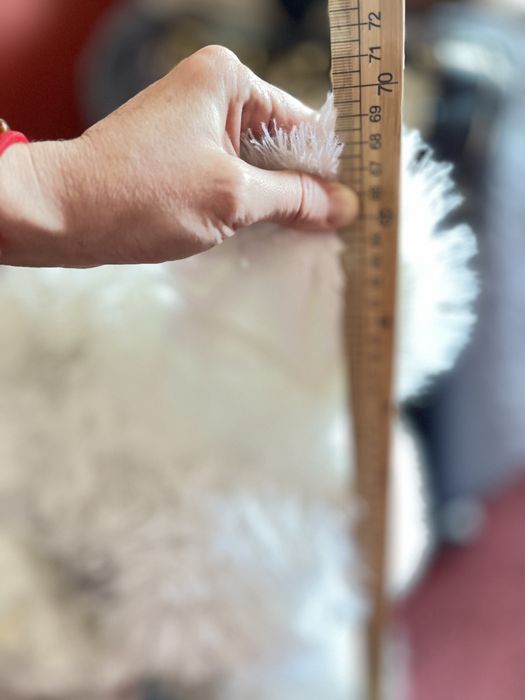 Мягкая игрушка мишка