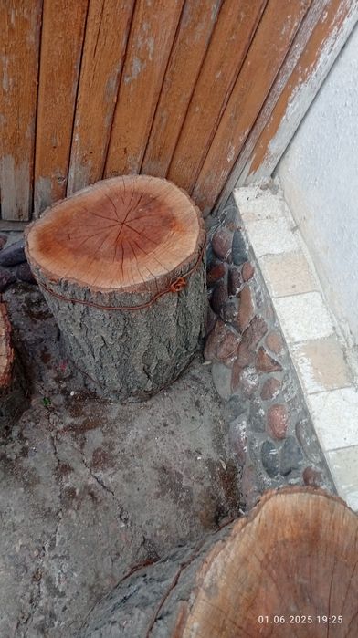 Ўрик дарахтдан гўшт майдалаш усун кундалар сотилади