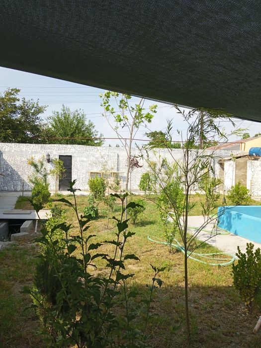 Dacha va basseyn Arendaga