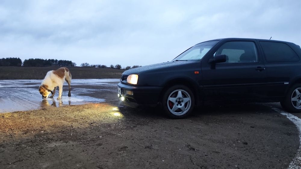 Volkswagen Golf 3 GTI