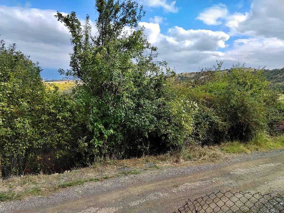 Продава ПАРЦЕЛ/УПИ, с. Селище, област Благоевград